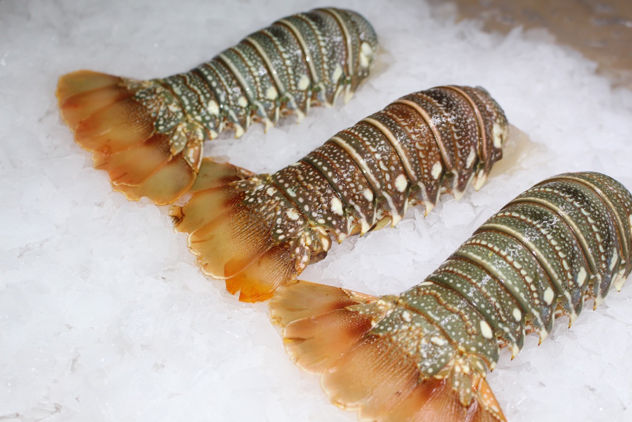 Pearl Fisheries products